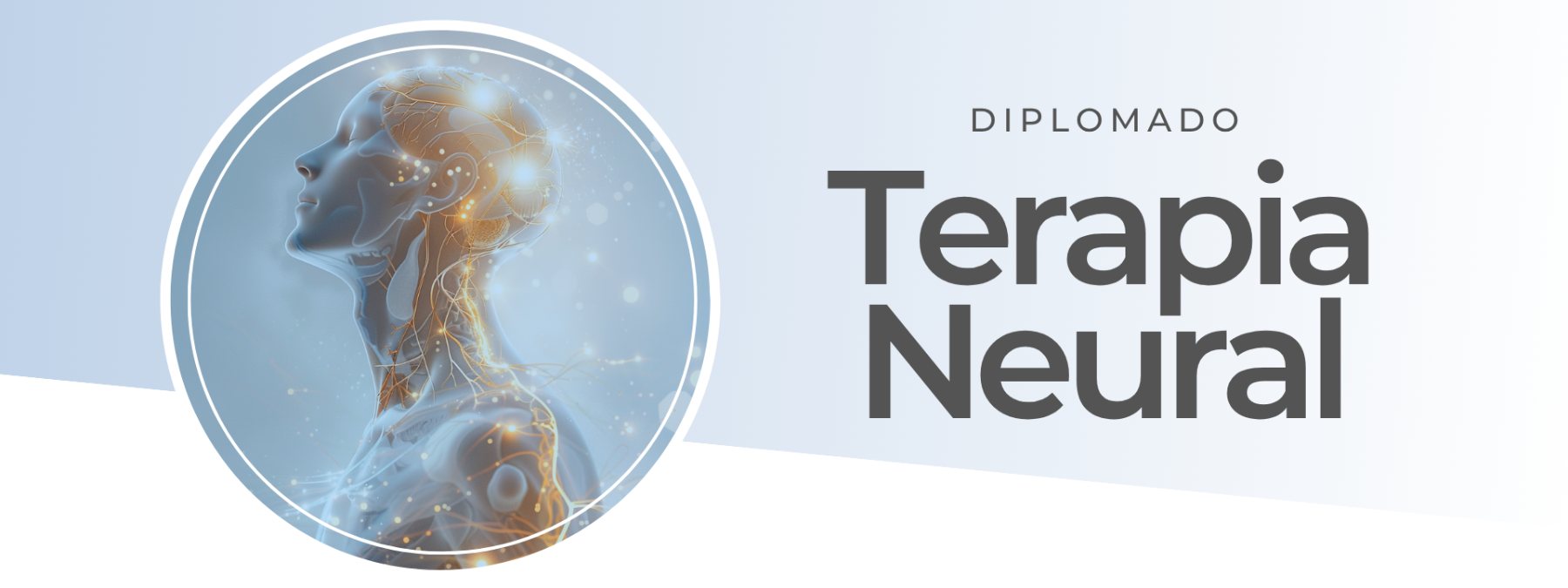 Diplomado en Terapia Neural, sábado 17 de octubre, con Dr. Felipe Muro Jacovo